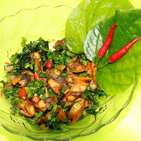 Sò lông giá sỉ