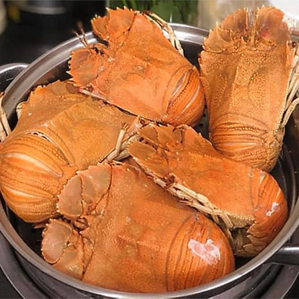 Tôm mũ ni sừng giá sỉ
