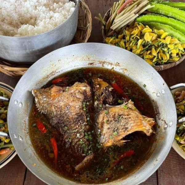Cá cóc giá sỉ