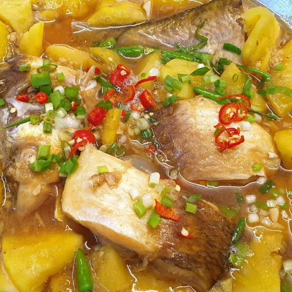 Cá cóc giá sỉ