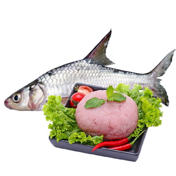 Chả cá cóc giá sỉ 